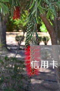 信用卡逾期 银行没有提醒 信用卡逾期 银行没有提醒